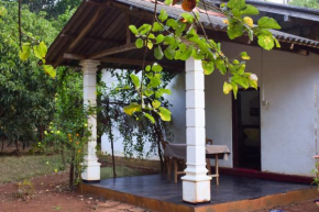 Senu Homestay
